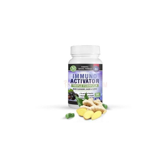 ImmunoActivator | remedy for immunity