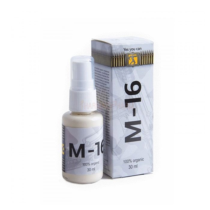 M-16 | remedy for potency